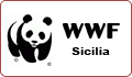 servizi-imformatici-palermo-wwf